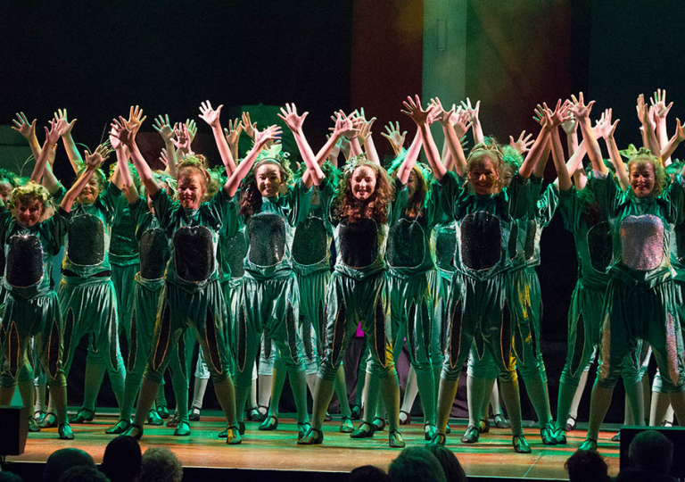 6_Herbstgala_2012_Step-by-Step+Princess+Showkids (10)