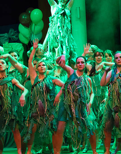 6_Herbstgala_2012_Step-by-Step+Princess+Showkids (1)