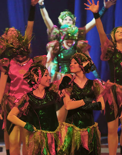 Elfen-035A8010_bearb